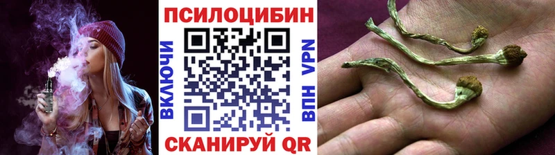 Галлюциногенные грибы мицелий Купить закладки Бавлы